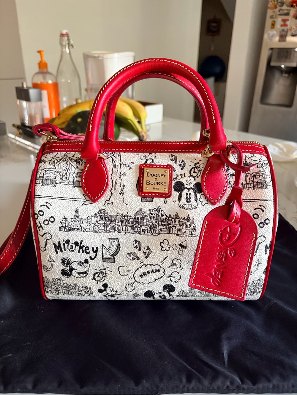 Dooney & Bourke Red Trim Disney Sketch Satchel